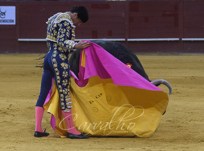 MADRID CORRIDA (4 de 89)