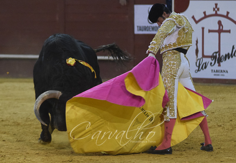 MADRID CORRIDA (71 de 89)