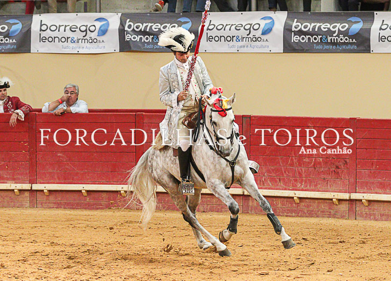 Cavalos e Toiros Evora (14 de 19)