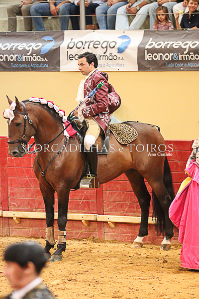 Cavalos e Toiros Evora (17 de 19)